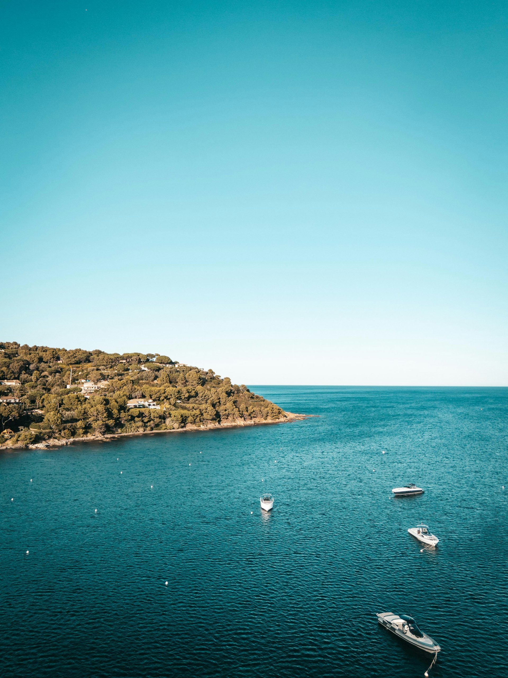 Promenade ensoleillée en bord de mer, bordée de palmiers et avec yacht au loin, idéale pour des vacances tropicales.