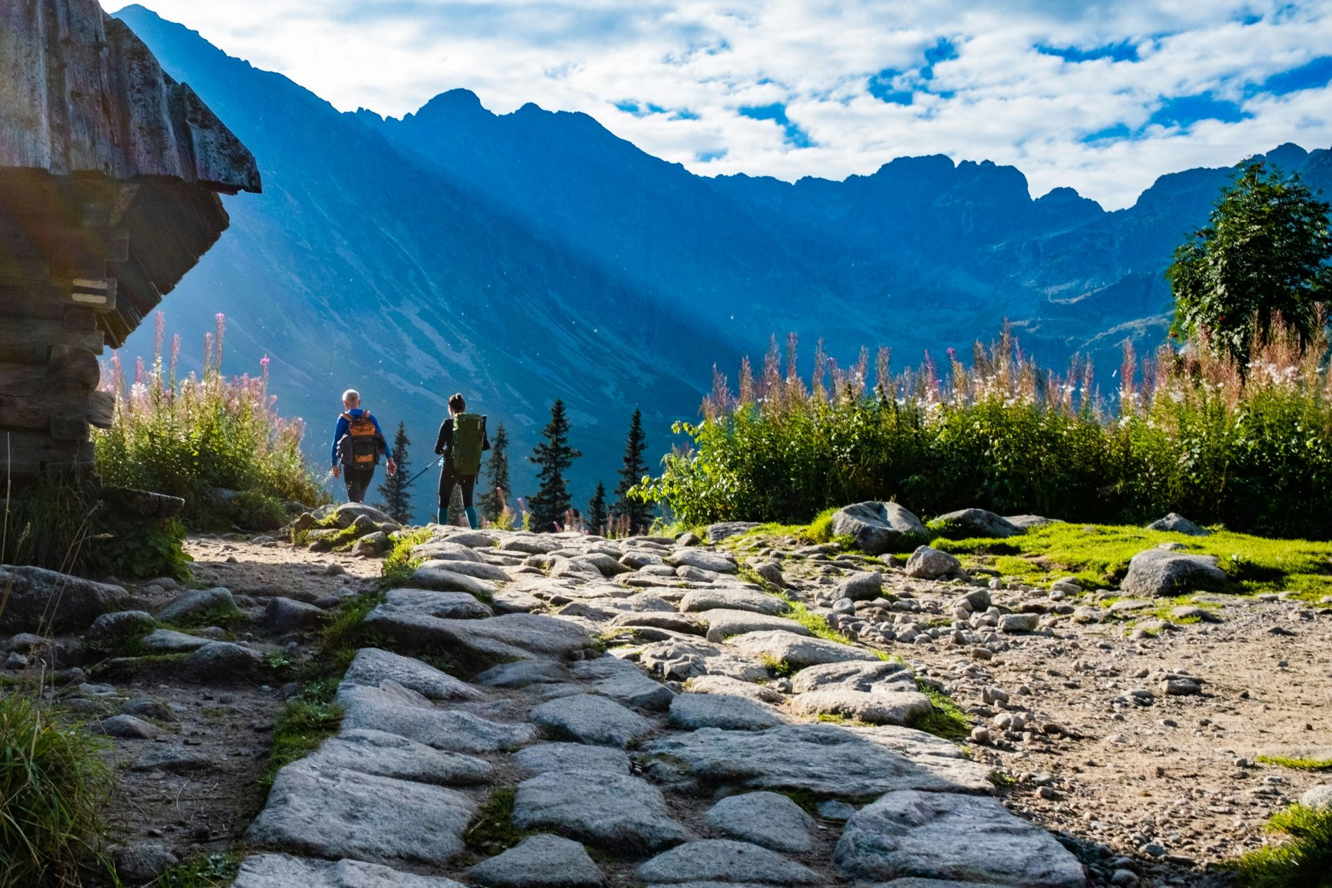 un groupe de personnes debout sur un sentier rocailleux devant une montagne